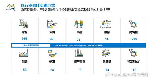 有喜企業ERP 借力SAP ERP公有云，引領新能源企業數字化成功轉型之路